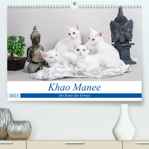 Khao Manee – Die Katze der Könige (Premium, hochwertiger DIN A2 Wandkalender 2023, Kunstdruck in Hochglanz) von Verena Scholze,  Fotodesign