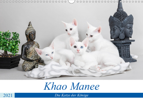 Khao Manee – Die Katze der Könige (Wandkalender 2021 DIN A3 quer) von Verena Scholze,  Fotodesign