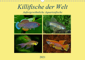 Killifische der WeltCH-Version (Wandkalender 2021 DIN A3 quer) von Pohlmann,  Rudolf