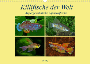 Killifische der WeltCH-Version (Wandkalender 2022 DIN A3 quer) von Pohlmann,  Rudolf