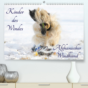 Kinder des Windes – Afghanischer Windhund (Premium, hochwertiger DIN A2 Wandkalender 2021, Kunstdruck in Hochglanz) von Starick,  Sigrid