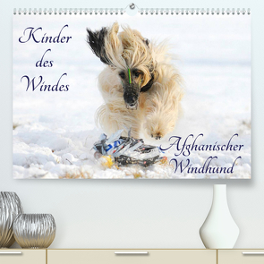 Kinder des Windes – Afghanischer Windhund (Premium, hochwertiger DIN A2 Wandkalender 2023, Kunstdruck in Hochglanz) von Starick,  Sigrid