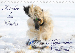 Kinder des Windes – Afghanischer Windhund (Tischkalender 2023 DIN A5 quer) von Starick,  Sigrid