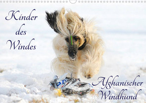 Kinder des Windes – Afghanischer Windhund (Wandkalender 2022 DIN A3 quer) von Starick,  Sigrid