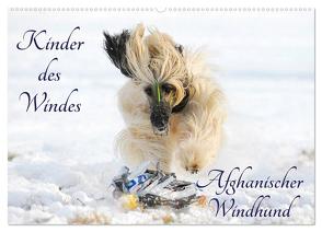 Kinder des Windes – Afghanischer Windhund (Wandkalender 2024 DIN A2 quer), CALVENDO Monatskalender von Starick,  Sigrid