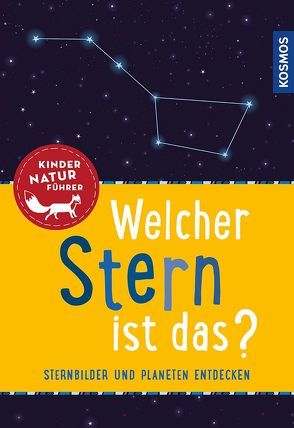 Welcher Stern ist das? Kindernaturführer von Dambeck,  Susanne, Dambeck,  Thorsten