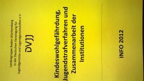 Kindeswohlgefährdung, Jugendstrafverfahren und die Zusammenarbeit der Institutionen von Dölling,  Dieter