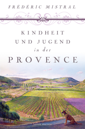 Kindheit und Jugend in der Provence von Mistral,  Frédéric