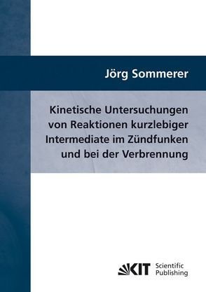 Kinetische Untersuchungen von Reaktionen kurzlebiger Intermediate im Zündfunken und bei der Verbrennung von Sommerer,  Jörg