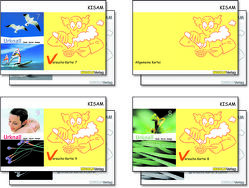 KISAM Versuchskartei 7-9 – Schulbundle von Hutzli,  Hansjürg, Meyer,  Reto