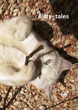 Kitty_tales von Schwärzel-Hofmann,  Kerstin
