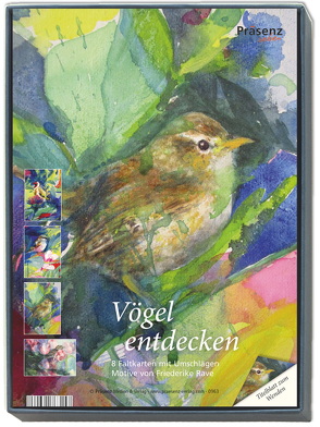 KK-Box Vögel entdecken von Rave,  Friederike