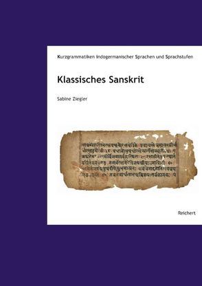 Klassisches Sanskrit von Ziegler,  Sabine