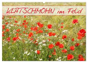 Klatschmohn im Feld (Wandkalender 2024 DIN A2 quer), CALVENDO Monatskalender von Kruse,  Gisela