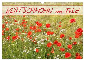 Klatschmohn im Feld (Wandkalender 2024 DIN A3 quer), CALVENDO Monatskalender von Kruse,  Gisela