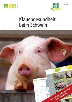 Klauengesundheit beim Schwein von Grandjot,  Günter, Hess,  Dirk, Kessler,  Barbara, Landmann,  Dietrich, Mader,  Hannes, Meyer,  Christian, Pollmann,  Christiane, Schulte-Sutrum,  Reinhard, Schwemmer,  Otto, Sonntag,  Stefani, Weber,  Manfred, Wiedmann,  Rudolf, Ziron,  Martin