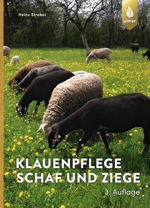 Klauenpflege Schaf und Ziege von Strobel,  Heinz