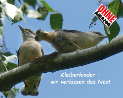 Kleiberkinder von Meister,  Dieter