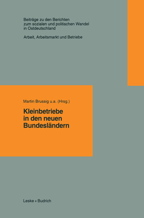 Kleinbetriebe in den neuen Bundesländern von Brussig,  Martin u.a.