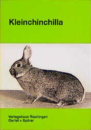 Kleinchinchilla von Scholz,  Hans P