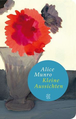 Kleine Aussichten von Munro,  Alice, Petry,  Hildegard