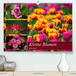 Kleine Blumen ganz groß (Premium, hochwertiger DIN A2 Wandkalender 2022, Kunstdruck in Hochglanz) von Reznicek,  M.