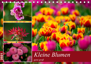 Kleine Blumen ganz groß (Tischkalender 2021 DIN A5 quer) von Reznicek,  M.