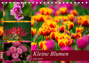 Kleine Blumen ganz groß (Tischkalender 2022 DIN A5 quer) von Reznicek,  M.