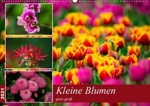 Kleine Blumen ganz groß (Wandkalender 2021 DIN A2 quer) von Reznicek,  M.