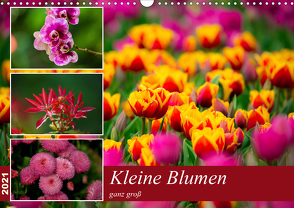 Kleine Blumen ganz groß (Wandkalender 2021 DIN A3 quer) von Reznicek,  M.