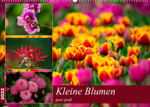 Kleine Blumen ganz groß (Wandkalender 2022 DIN A2 quer) von Reznicek,  M.