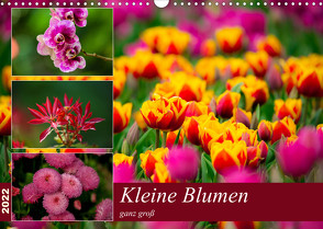 Kleine Blumen ganz groß (Wandkalender 2022 DIN A3 quer) von Reznicek,  M.