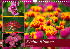 Kleine Blumen ganz groß (Wandkalender 2022 DIN A4 quer) von Reznicek,  M.