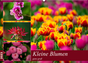 Kleine Blumen ganz groß (Wandkalender 2023 DIN A2 quer) von Reznicek,  M.