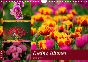 Kleine Blumen ganz groß (Wandkalender 2023 DIN A4 quer) von Reznicek,  M.