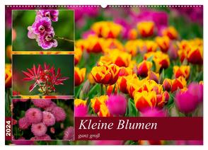 Kleine Blumen ganz groß (Wandkalender 2024 DIN A2 quer), CALVENDO Monatskalender von Reznicek,  M.