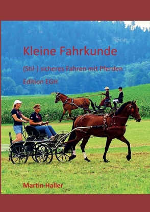 Kleine Fahrkunde von Haller,  Martin