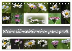 kleine Gänseblümchen ganz groß (Tischkalender 2024 DIN A5 quer), CALVENDO Monatskalender von SchnelleWelten,  SchnelleWelten