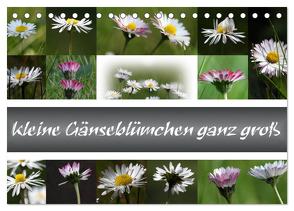 kleine Gänseblümchen ganz groß (Tischkalender 2024 DIN A5 quer), CALVENDO Monatskalender von SchnelleWelten,  SchnelleWelten