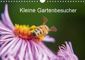 Kleine Gartenbesucher (Wandkalender 2019 DIN A4 quer) von Homburger,  Rainer