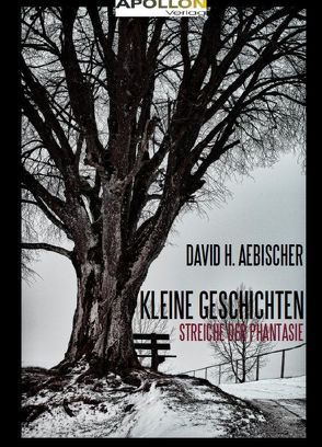 Kleine Geschichten – Streiche der Phantasie von Aebischer,  David, Aebischer,  David H., Hänni,  Nicole, Rindlisbacher,  Rene, Schmidt,  Yannick