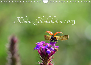 Kleine Glücksboten (Wandkalender 2023 DIN A4 quer) von Schröder,  Diana