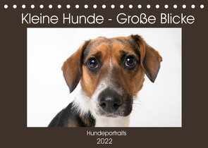 Kleine Hunde – Große Blicke (Tischkalender 2022 DIN A5 quer) von Akrema-Photography