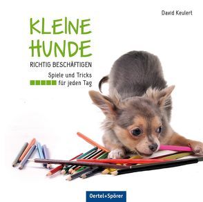 Kleine Hunde richtig beschäftigen von Keulert,  David