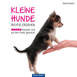 Kleine Hunde richtig erziehen von Keulert,  David