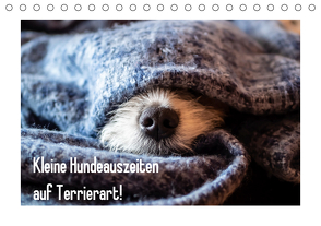 Kleine Hundeauszeiten auf Terrierart!AT-Version (Tischkalender 2020 DIN A5 quer) von Rachbauer,  Sonja