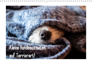 Kleine Hundeauszeiten auf Terrierart!AT-Version (Wandkalender 2020 DIN A3 quer) von Rachbauer,  Sonja