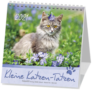 Kleine Katzen-Tatzen 2022