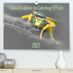 Kleine Krabbler im Colorkey-Effekt (Premium, hochwertiger DIN A2 Wandkalender 2021, Kunstdruck in Hochglanz) von Blickwinkel,  Dany´s