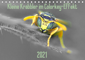 Kleine Krabbler im Colorkey-Effekt (Tischkalender 2021 DIN A5 quer) von Blickwinkel,  Dany´s